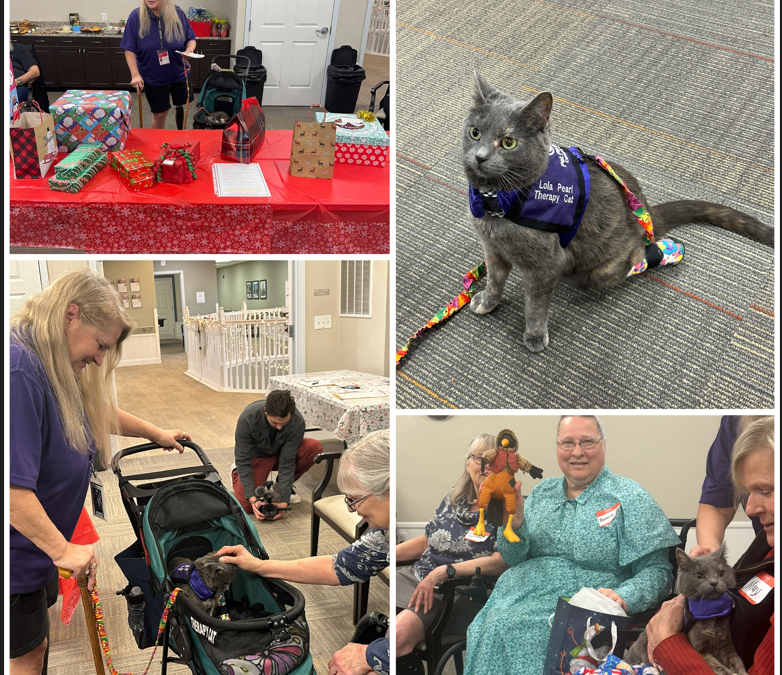 LOLA the Therapy Kitty Visited our December A.C.T.I.O.N. Meeting!